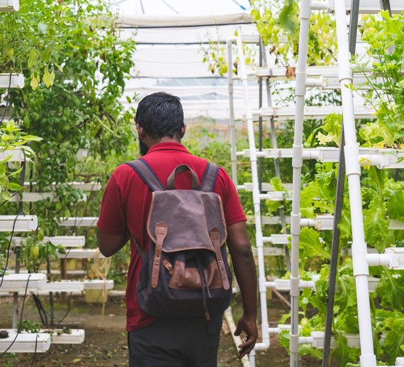 Hydroponic Farming