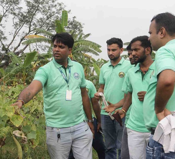 On-Field Crop Guidance