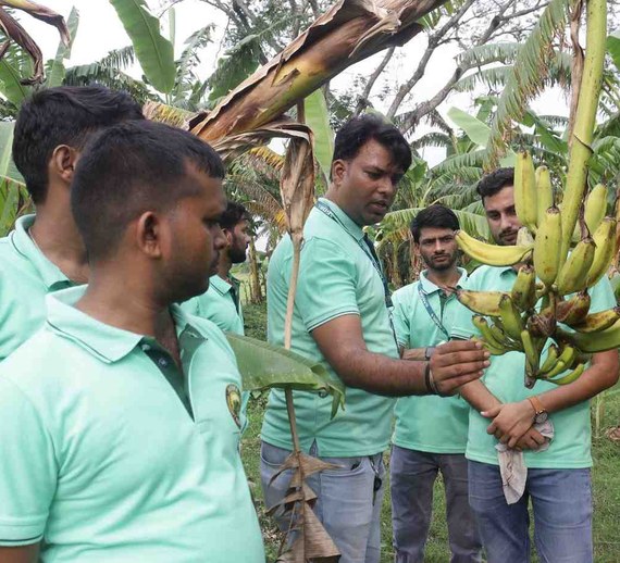 Banana Plantation Visit